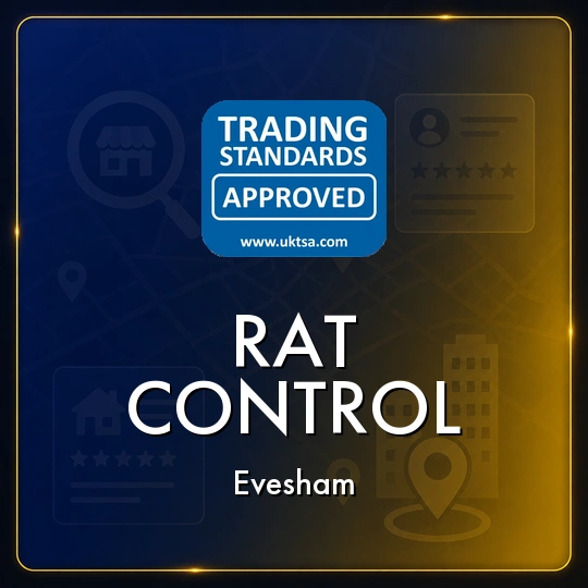 Rat