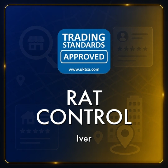 Rat
