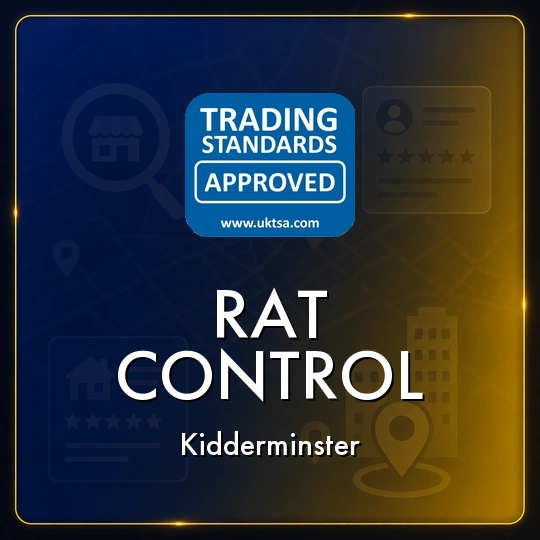 Rat
