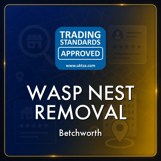 Wasp
