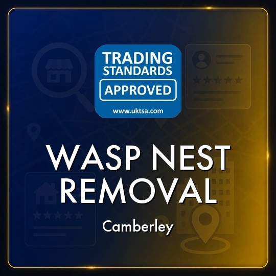 Wasp