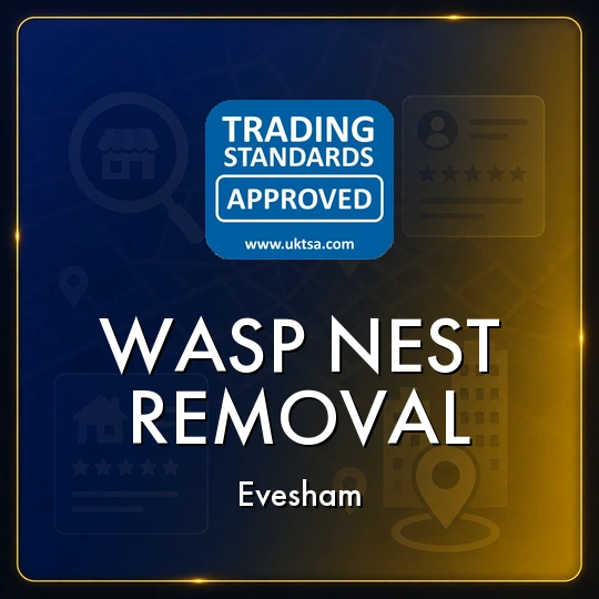 Wasp