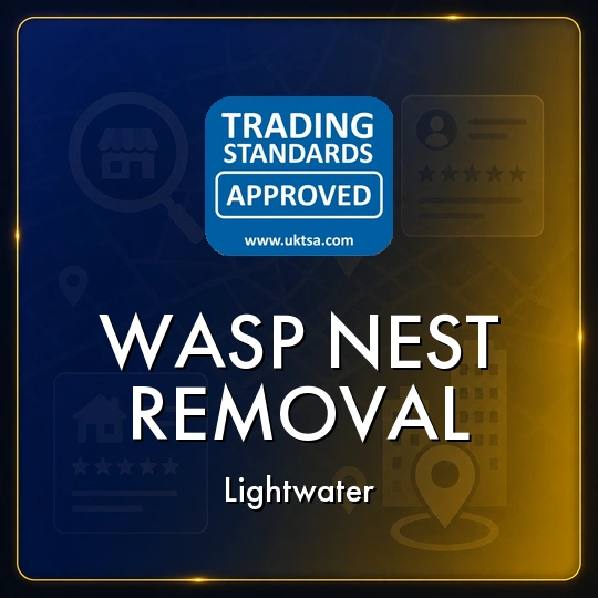 Wasp