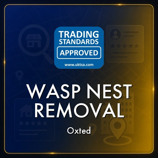 Wasp