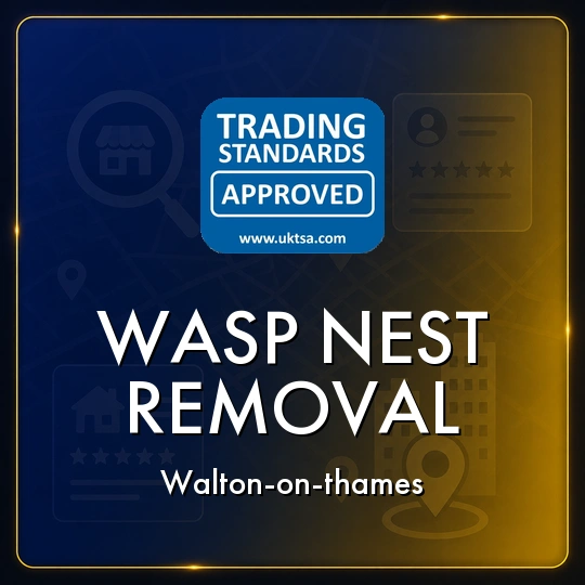 Wasp
